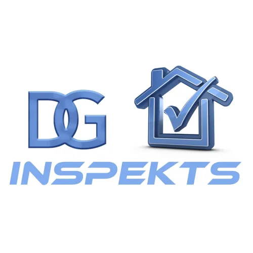 DG Inspekts logo